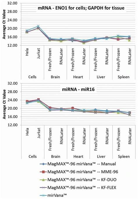 magmax mirvana|miRNA from serum and plasma samples .